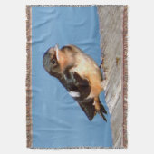 Grange Swallow jeter couverture (devant Vertical)