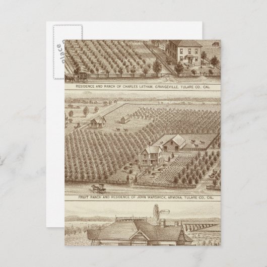 Grangeville, Armona ranches Briefkaart (Voorkant / Achterkant)