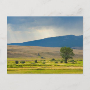 Granite County Montana Briefkaart