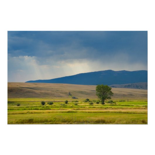 Granite County Montana Perfect Poster (Voorkant)