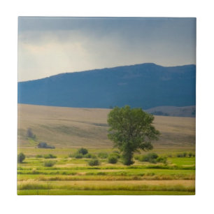 Granite County Montana Tegeltje