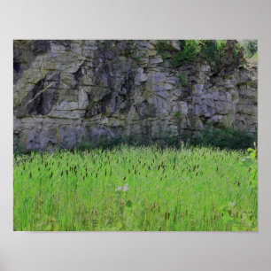 Granite Quarry Rock Cliff Wall Cattails Natuur Poster