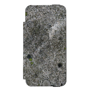 Granite Rock Grey met Green Moss