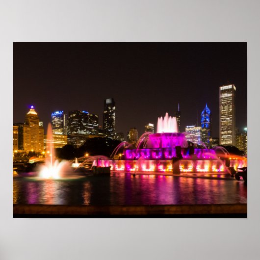 Grant Park Chicago Poster (Voorkant)