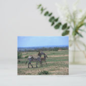 Grant Zebra Briefkaart (Staand voorkant)