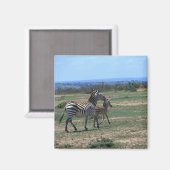 Grant Zebra Magneet (Voorkant / Achterkant)