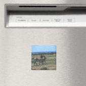 Grant Zebra Magneet (Insitu (Vaatwasser))
