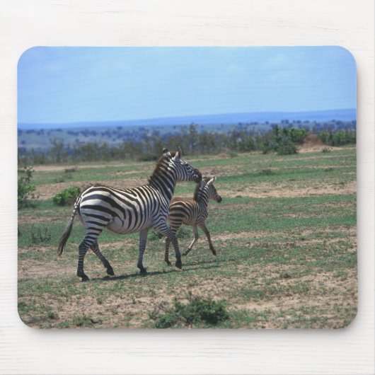 Grant Zebra Muismat (Voorkant)