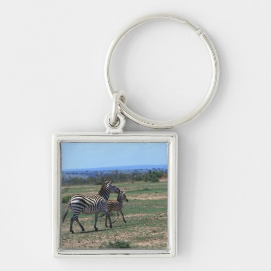 Grant Zebra Sleutelhanger (Voorkant)