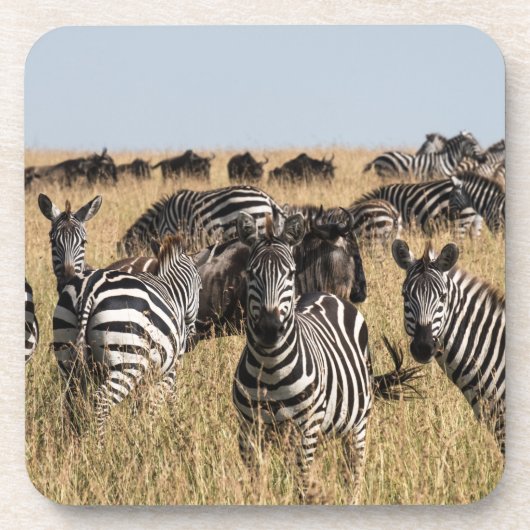Grant's Zebra Beverage Coaster Bier Onderzetter (Voorkant)