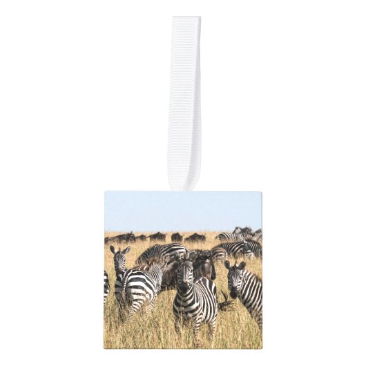 Grant's Zebra Cube Ornament (Voorkant)
