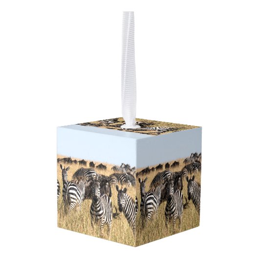 Grant's Zebra Cube Ornament (Achter hoekig)