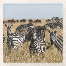 Grant's Zebra Glazen Onderzetter