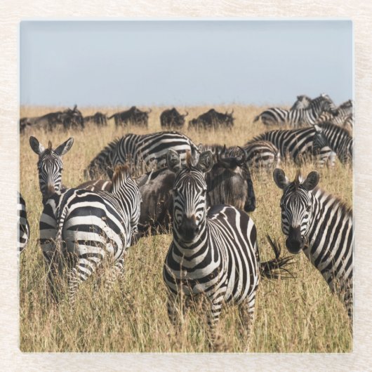 Grant's Zebra Glazen Onderzetter (Voorkant)