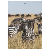 Grant's Zebra Klembord (Achterkant)