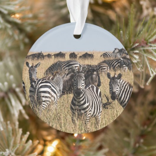Grant's Zebra Ornament (Boom)