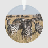 Grant's Zebra Ornament (achterkant)