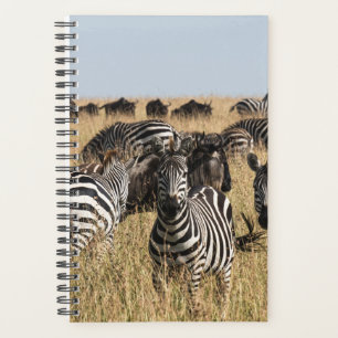 Grant's Zebra Planner