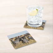 Grant's Zebra Vierkante Kartonnen Onderzetter (Insitu)