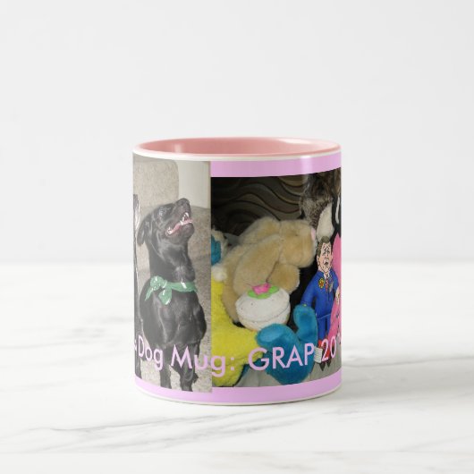 GRAP 2010 roze Tweekleurige Koffiemok (Center)