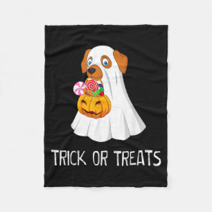 Grap of snoepjes grappige spookhond schattige Hall Fleece Deken
