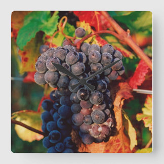 Grape Cluster Vierkante Klok