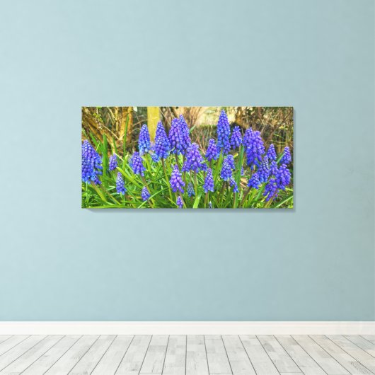 Grape Hyacinth Canvas Afdruk (Insitu (Houten vloer))