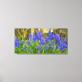 Grape Hyacinth Canvas Afdruk (Voorkant)