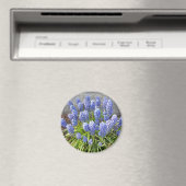 Grape Hyacinth Magneet (Insitu (Vaatwasser))