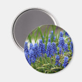 Grape Hyacinth Magneet (Voorkant / Achterkant)