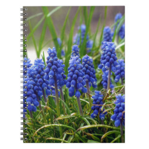 Grape Hyacinth Notitieboek