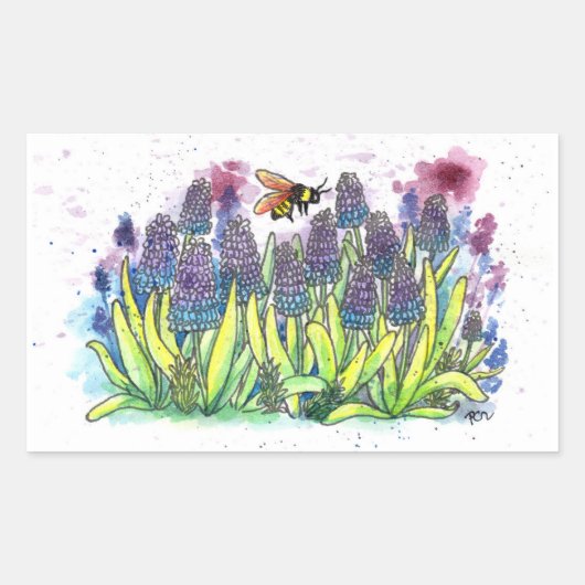 Grape Hyacinth Rechthoekige Sticker (Voorkant)