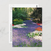 Grape Hyacinth River Briefkaart (Voorkant / Achterkant)