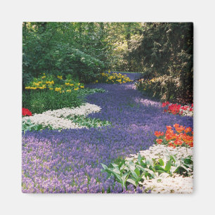 Grape Hyacinth River Magnet Magneet
