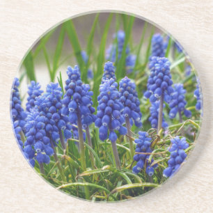 Grape Hyacinth Zandsteen Onderzetter
