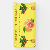 Grapefruit aanpassen voor verkoopstandaard voor fr spandoek (Verticaal)