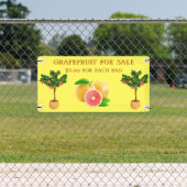 Grapefruit aanpassen voor verkoopstandaard voor fr spandoek (Insitu)