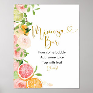 Grapefruit Citrus Bruiloft Mimosa Bar Bord Poster