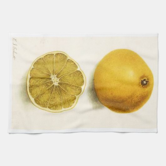 Grapefruit Kitchen Towel Theedoek (Horizontaal)