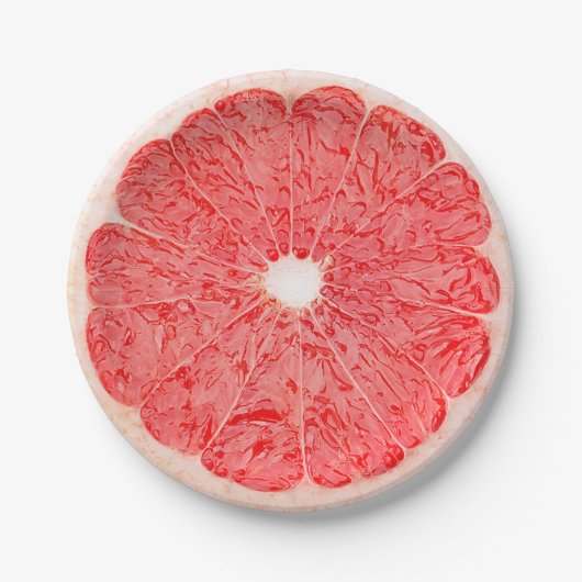 Grapefruit Slice Summer Party Paper Borden Papieren Bordje (Voorkant)