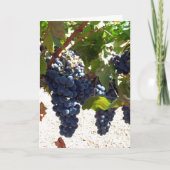 Grapes de cartes (Devant)