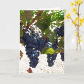 Grapes de cartes (Fleur jaune)