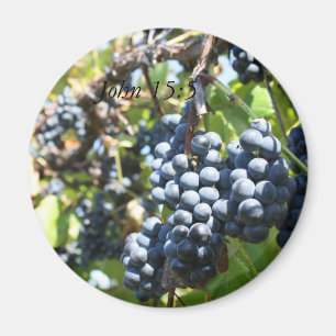 Grapes Vineyard John 15:5 Magnet Magneet