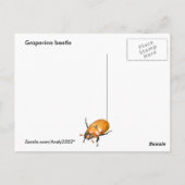 Grapevine Beetle ~ briefkaart (Achterkant)
