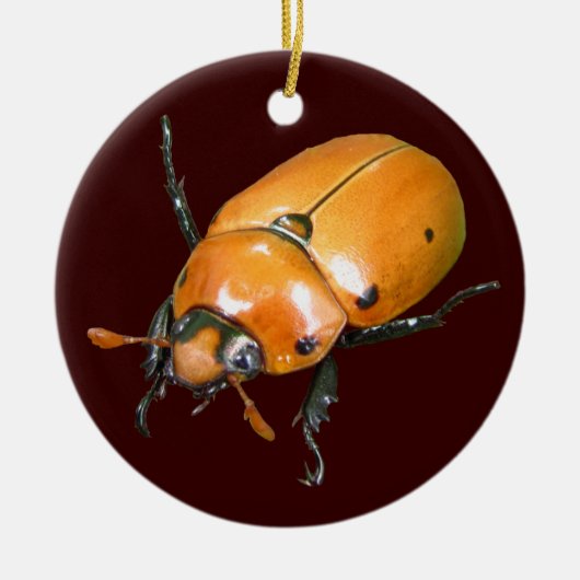 Grapevine Beetle ~ sierent Keramisch Ornament (Voorkant)
