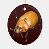 Grapevine Beetle ~ sierent Keramisch Ornament (Links)