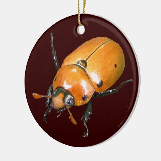 Grapevine Beetle ~ sierent Keramisch Ornament (Links)
