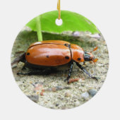 Grapevine Beetle ~ sierent Keramisch Ornament (Achterkant)