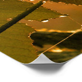 Grapevine & Dewdrops op Sunrise Inspirerend Poster (Hoek)