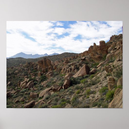 Grapevine Hills Rocks & Chisos Mountains, Texas Poster (Voorkant)